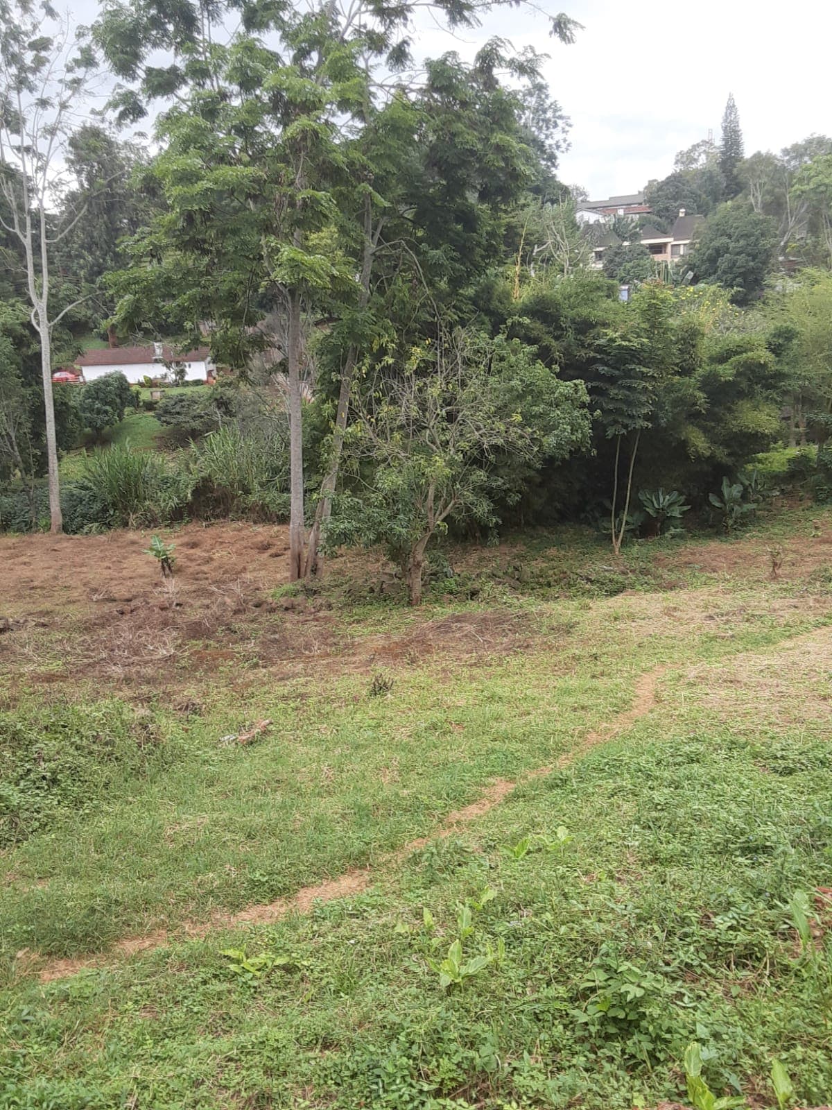 1 Acres Land For Sale in Muthaiga